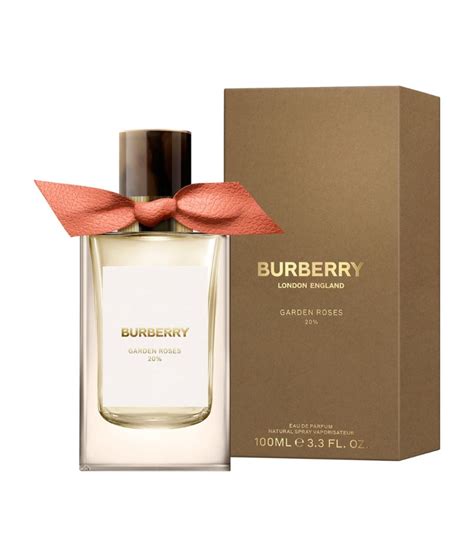 rosé burberry|burberry signatures garden roses.